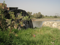 Waterwheels are Fayoum's National Symbol