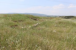 Остатоци во средишната зона