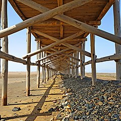 Vers شرفخانه (fa) auprès de Tabriz, dans l'Azerbaïdjan oriental. Mai 2018.