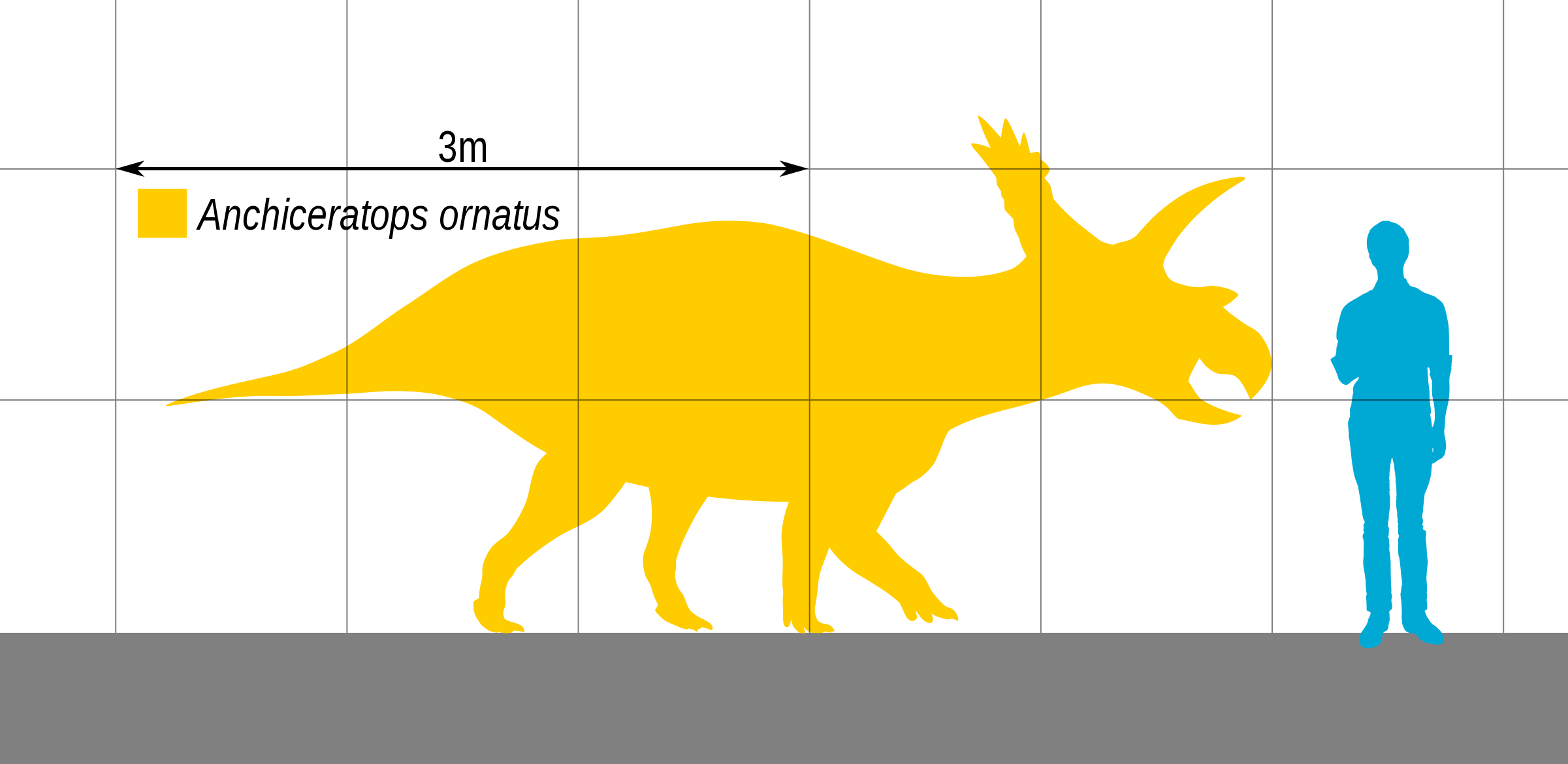 Anchiceratops_Size