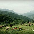 روستای زیبای ازآنده