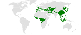 Distribución dos certíidos