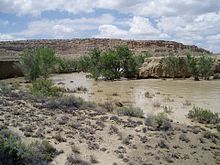 A color picture of a wash/river during a flood