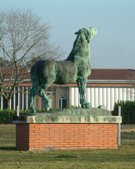 Cheval de Montfaucon (1852), École nationale vétérinaire de Toulouse.