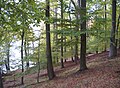 Nature Reserve Conower Werder