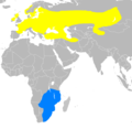 Aire de répartition du Râle des genêts