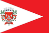 Flag of Tuiuti