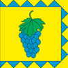 Flag of Vynnyky