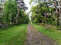 Le chemin au nord du village