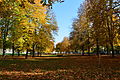 Kastanienallee mit einreihiger Villenbebauung in Gärten