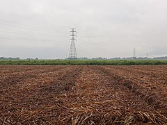 La Carlota sugar plantation