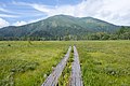 Boardwalk of Ozegahara. Mount Shibutsu in the background.