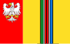 Flag of Łowicz County