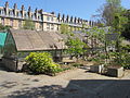 Le jardin botanique de la faculté.