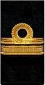 нарукавный знак флота 1917