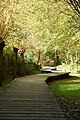 Caillebotis en bois