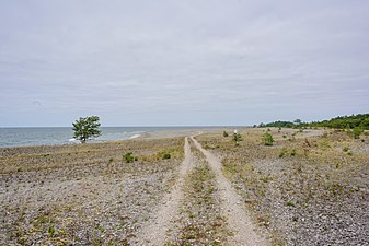 Stenkusten, Gotland