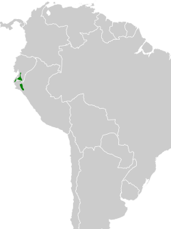 Distribución geográfica del ticotico cuellirrufo.