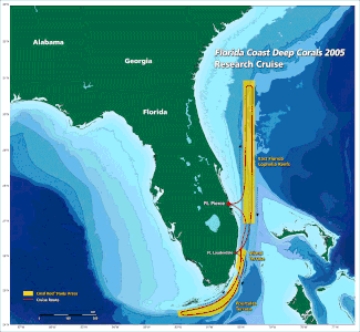 Le détroit de Floride, entre le sud-est de la Floride et les Bahamas, et entre les cayes de Floride et Cuba