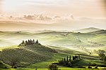 Hilly grass landscape