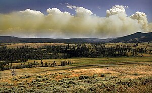 ענן קומולוס שנוצר כתוצאה מעשן של שריפה בהפארק הלאומי ילוסטון.