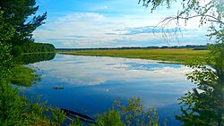 Берег реки Евры близ селения Сотник