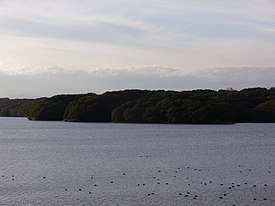 狭山湖堤防上からの遠景