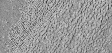 Enlarged view of brain terrain on the surface of Lineated Valley Fill, as seen by HiRISE under HiWish program Location is Ismenius Lacus quadrangle.