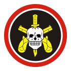 Patch & Beret Badge