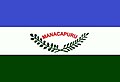 Bandeira de Manacapuru