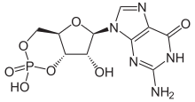 Skeletal formula of cyclic guanosine monophosphate