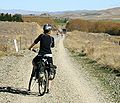 Otago Central Rail Trail[англ.]