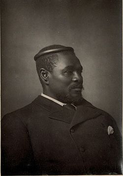 Image illustrative de l’article Cetshwayo kaMpande