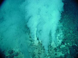 Sources hydrothermales : c'est à proximité de ces "fumeurs blancs" que se seraient développés les premiers microorganismes unicellulaires[13],[5]