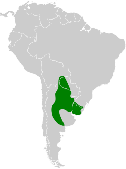 Distribución geográfica del trepatroncos chinchero.