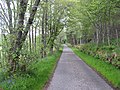 The single-track road running to and from Eskadale