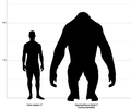 Gigantopithecus