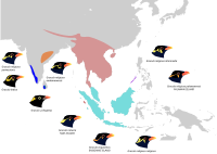 Distribución das diferentes variedades dentro da especie.