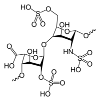 Image illustrative de l’article Héparine