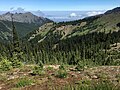 Unicorn Peak (upper left) from Hurricane Ridge