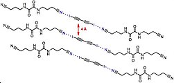 The catalyst-monomer cocrystal. Units repeat every 5.25 Å and are oriented at 51.3˚.