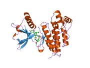 1y6a: Crystal structure of VEGFR2 in complex with a 2-anilino-5-aryl-oxazole inhibitor