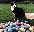 Socks with Easter eggs in 1994