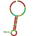 RF_site5: Secondary structure taken from the Rfam database. Family RF01093. Derived from Pseudobase PKB00258