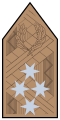 Hungarian colonel general rank insignia