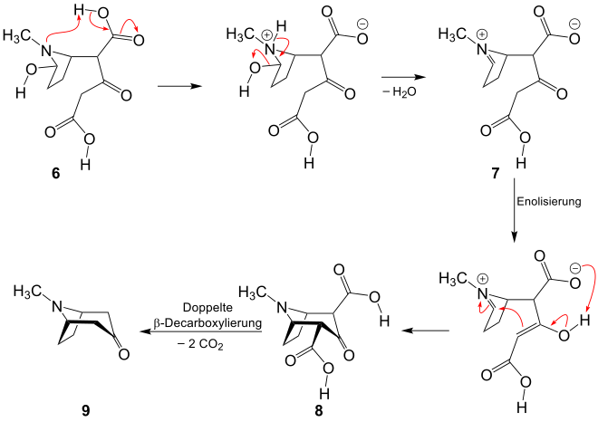 2. Teil der Robinson-Schöpf-Reaktion