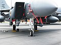 Les nacelles LANTIRN montées sous un F-15E Strike Eagle, l'AN/AAQ-13 de navigation à gauche et l'AN/AAQ-14 de ciblage à droite.