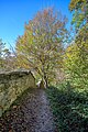 Wehrmauer am Basteiweg