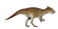 Sasayamagnomus