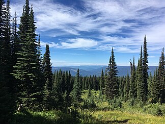 Subalpines Gebiet am Crowsfoot Mountain, nördlich vom Shuswap Lake